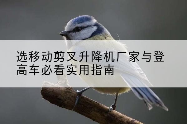 通川电动升降机厂家-选移动剪叉升降机厂家与登高车必看实用指南