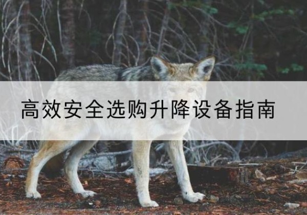 通川升降货梯厂家推荐-*安全选购升降设备指南