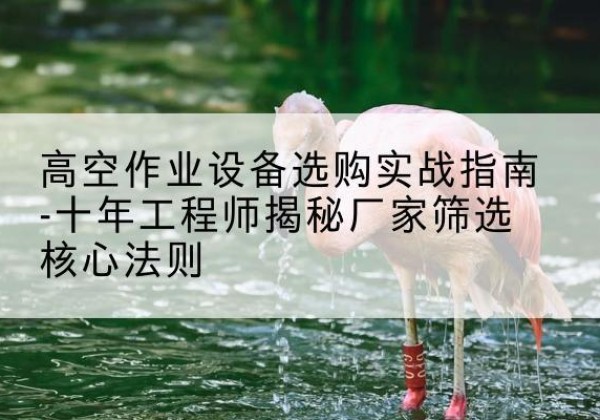 通川剪叉式升降机厂家-高空作业设备选购实战指南-十年工程师揭秘厂家筛选核心法则